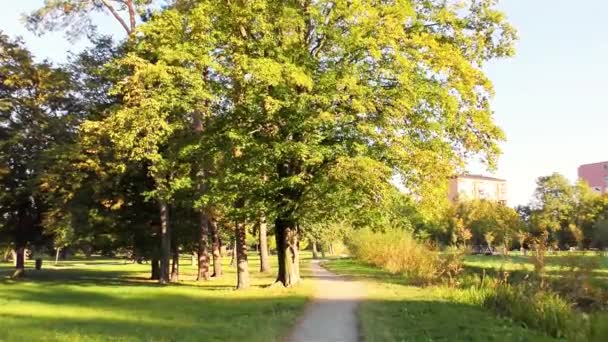 Otoño Parque Árboles Hierba — Vídeos de Stock