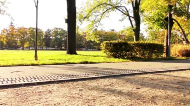 Sonbahar Park, Astronomik Gözlemevi