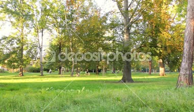 Sonbahar Park, ağaçlar ve otlar