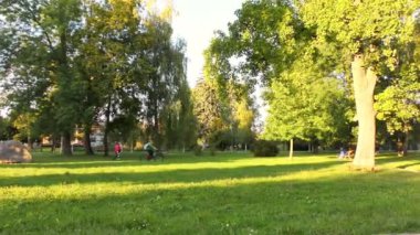 Sonbahar Park, ağaçlar ve otlar