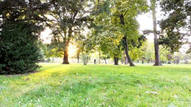 Sonbahar Park, ağaçlar ve otlar