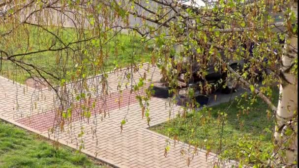 Frühjahrsputz Der Stadt Straßenarbeiter Reinigen Die Straße — Stockvideo