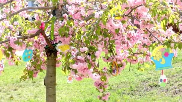 花园里的复活节树 现代公共建筑幼儿园 学前班 — 图库视频影像