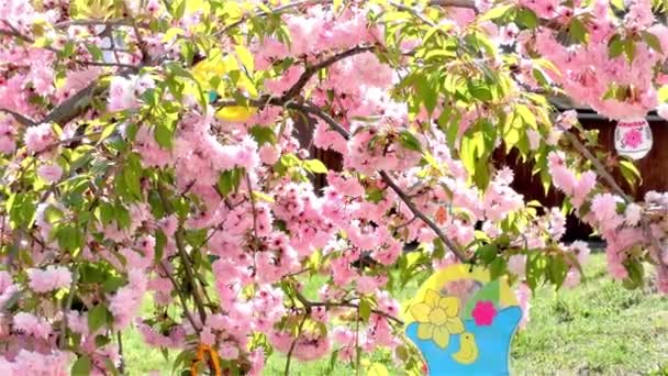 花园里的复活节树 现代公共建筑幼儿园 学前班 — 图库视频影像