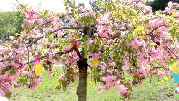 Bahçede Paskalya Ağacı Modern Kamu Binası Anaokulu Okul Öncesi — Stok video