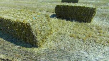 Saman Balyaları ile Tarım Alanı - Orman a göre Stubble Alanı
