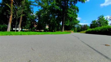 Yazın Açık Şehir Parkı, Ağaçlar ve Bitkiler, Avrupa, CZ, Prostejov