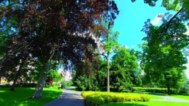Yazın Açık Şehir Parkı, Ağaçlar ve Bitkiler, Avrupa, CZ, Prostejov