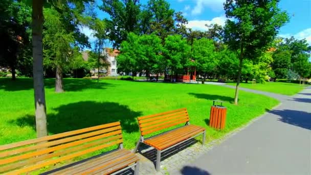 Открытый Городской Парк Летом Деревья Растения Европа Чехия Простеёв — стоковое видео