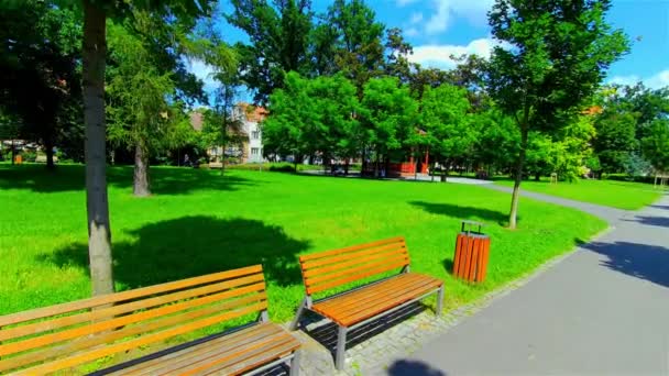 Öppen Stadspark Sommar Träd Och Växter Europa Prostejov — Stockvideo