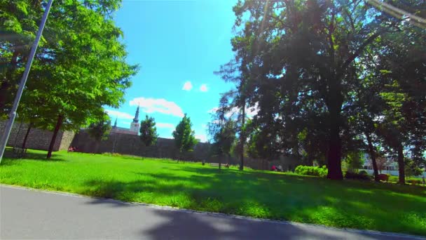 Parque Ciudad Abierta Verano Árboles Plantas Europa Prostejov — Vídeo de stock