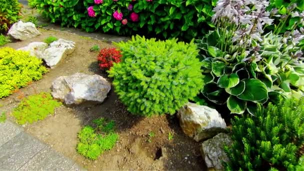 Rock Garden Sommaren — Stockvideo