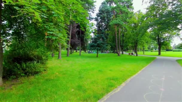 Öppen Stadspark Sommar Träd Och Växter Europa Prostejov — Stockvideo