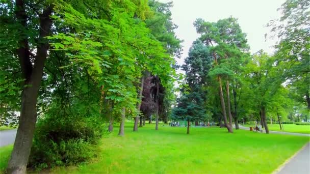 Open City Park en été, Arbres et plantes, Europe, CZ, Prostejov
