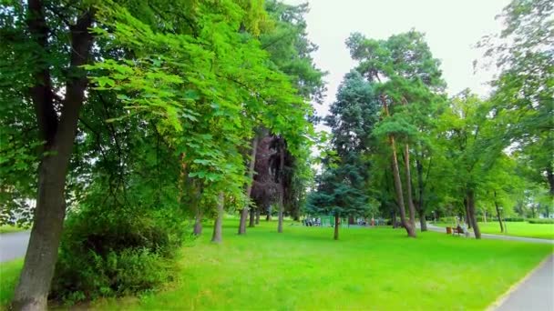 Open City Park Zomer Bomen Planten Europa Prostejov — Stockvideo