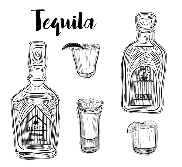 Tequila con lima. Ilustración dibujada a mano convertida en vector — Archivo Imágenes Vectoriales