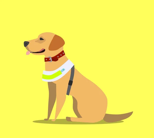 Perro Guía Ojo Visual Especialmente Entrenado Para Una Persona Ciega — Vector de stock