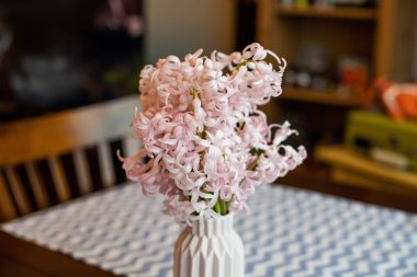 Küçük pembe vazo içinde pembe sümbül çiçeği