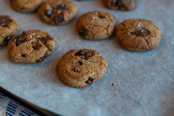 Paleo chocolate trozo de galleta tahini. galleta salada . — Foto de Stock