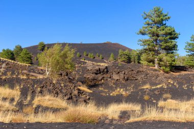 volkan Etna, mount Sartorius, Sicilya, İtalya