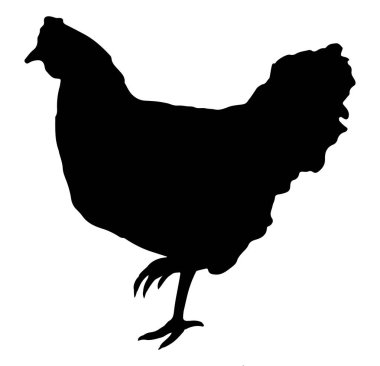 Tavuk siluet vektör çizim
