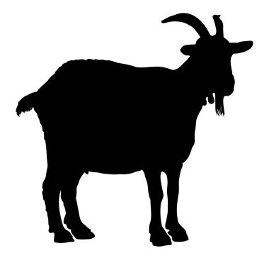 Keçi silhouetterural çiftlik hayvanları üzerinde beyaz bir arka plan