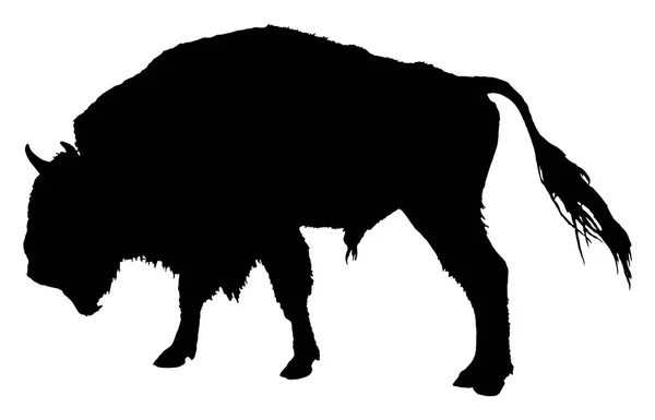 Vectorillustratie Van Buffalo Silhouet Witte Achtergrond — Stockvector