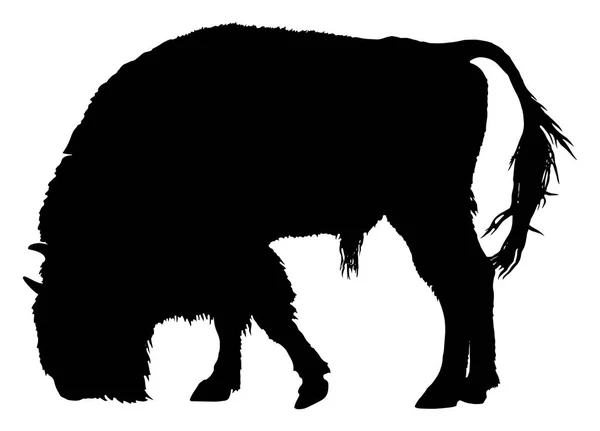 Vektorillustration Buffalo Siluett Över Vit Bakgrund — Stock vektor