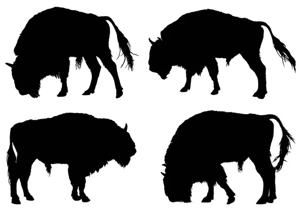 Buffalo American Bison Silhouette Collection — Stock Vector