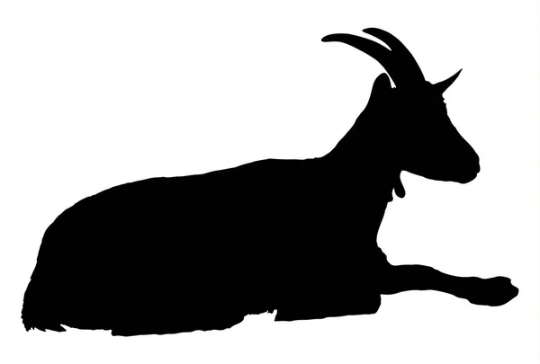 Goat Silhouetterural Farm Animals White Background — Stock Vector