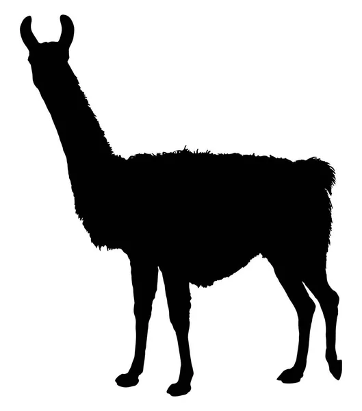 Silueta Llama Ilustración Vectorial Detallada Silueta Llama — Archivo Imágenes Vectoriales