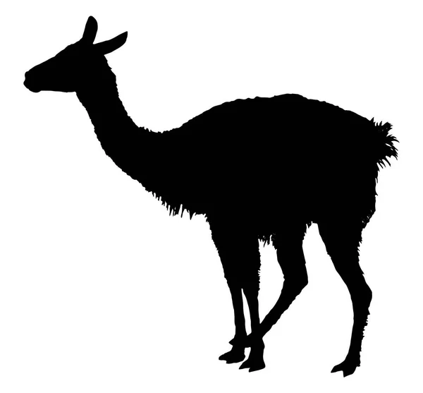 Silueta Llama Ilustración Vectorial Detallada Silueta Llama — Archivo Imágenes Vectoriales