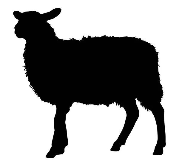 绵羊剪影以站立的姿势 向量例证 — 图库矢量图片