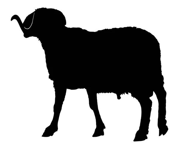 Ram 的剪影 黑色动物形象上白色孤立 — 图库矢量图片