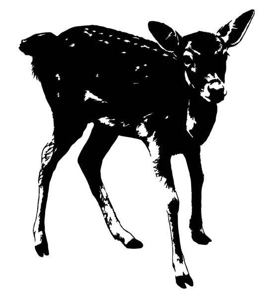 Silhouette Roe Deer — Stock Vector