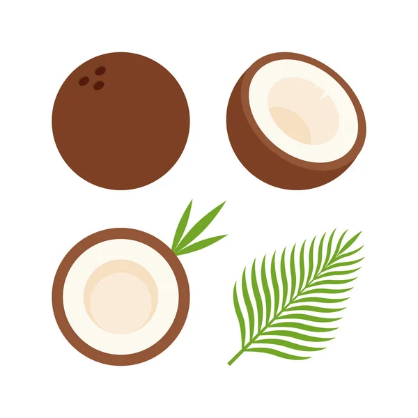 Food - Fruit - Flat Icon Set - Coconut and Leaf Isolated on White Background
