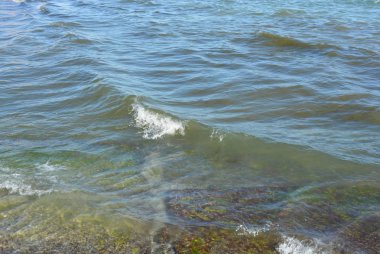 Yeşil algler ile kaplıydı bir betonarme inşaat levha ile Karadeniz'in beyaz köpük dalgalar gidiyor