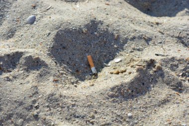 Kullanılan sigara izmariti puro gelen Karadeniz Sahil sarı kum terk.
