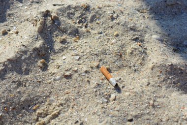 Kullanılan sigara izmariti puro gelen Karadeniz Sahil sarı kum terk.