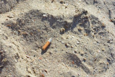 Kullanılan sigara izmariti puro gelen Karadeniz Sahil sarı kum terk.