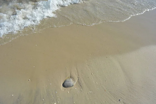 Beau Sable Mouillé Propre Avec Une Grande Pierre Taille Marine — Photo