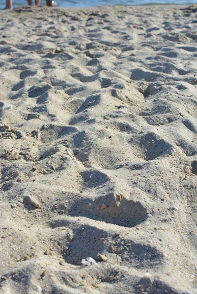 Areia Amarela Com Casca Rasa Praia Mar Negro Porto Ferro — Fotografia de Stock