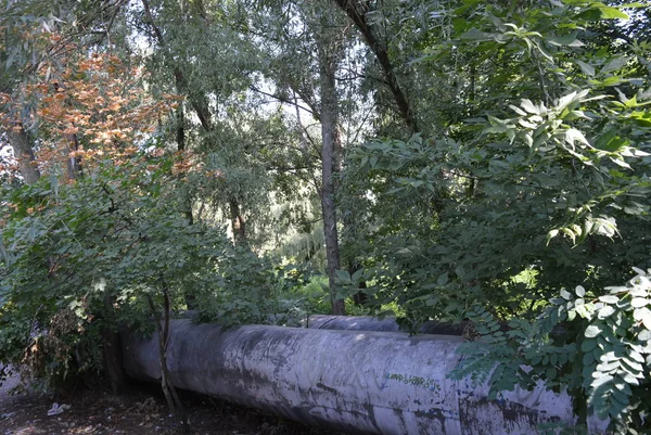 Yeşil Ağaçlar Arasında Iki Büyük Endüstriyel Boru — Stok fotoğraf