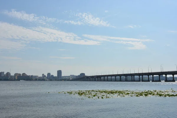 Ağaçlar, bir nehir nilüferler ile ve bir köprü Nehri ile sol Bankası şehir manzarası