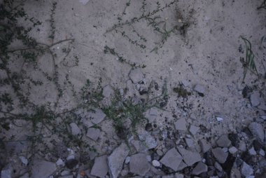 Beyaz İnşaat nehir çimen büyüyen ve akşam taşlar ile kum