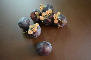 Taze erik sökük ve kahverengi mat arka plan üzerinde beyaz frenk üzümü, demet