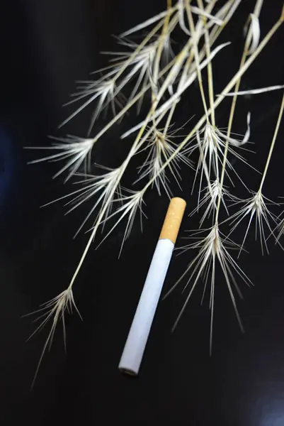 Cigarrillo Con Orejas Hierba Seca Sobre Fondo Negro Brillante — Foto de Stock