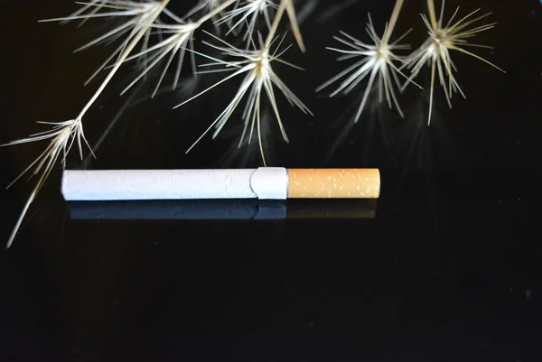 Eine Zigarette Mit Ähren Aus Trockenem Gras Auf Schwarzem Hochglanz — Stockfoto