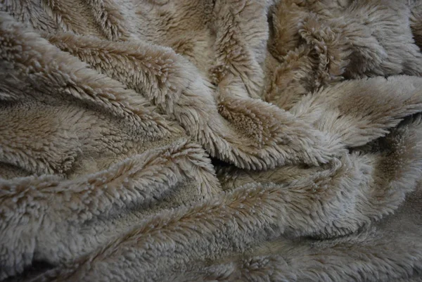 Ciekawy Materiał Miękkie Szare Futerko Brązowe Obejmuje Pościel Długich Płaszczach — Zdjęcie stockowe