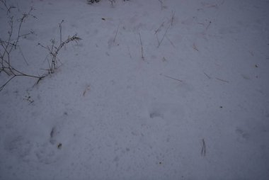 İyi büyük kış hava, kar kapak kar beyaz ışık yere